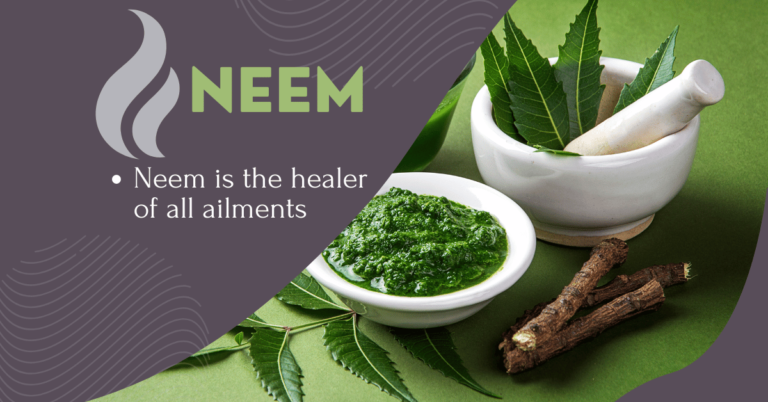 Neem leaves and twigs with mashed leaves in a white bowl