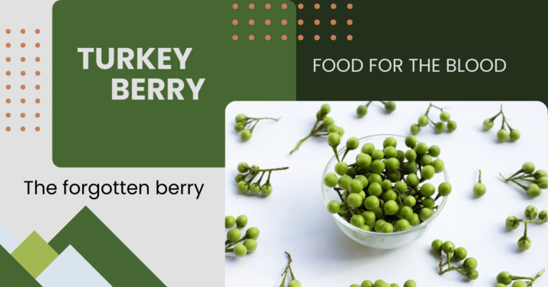 turkey berry in a white bowl