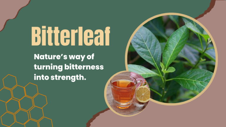 Fresh bitter leaves next to a glass of bitter leaf tea with a slice of lime on the side.